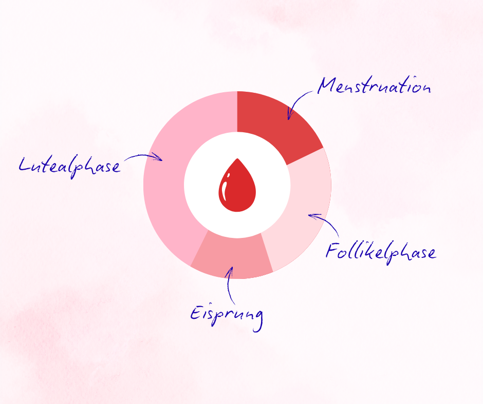 Die 4 Phasen des Menstruationszyklus